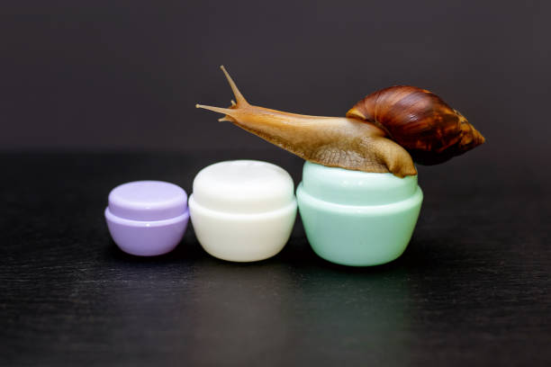Snail Mucin for Acne Does it Work